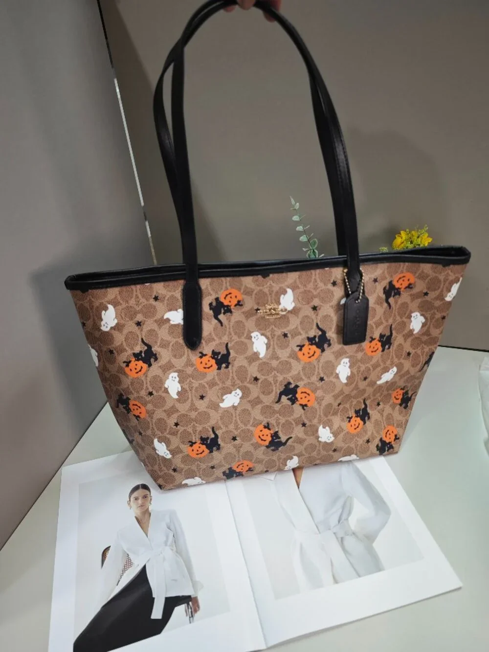Coach City Tote In Signature Canvas With Halloween Print CW450
